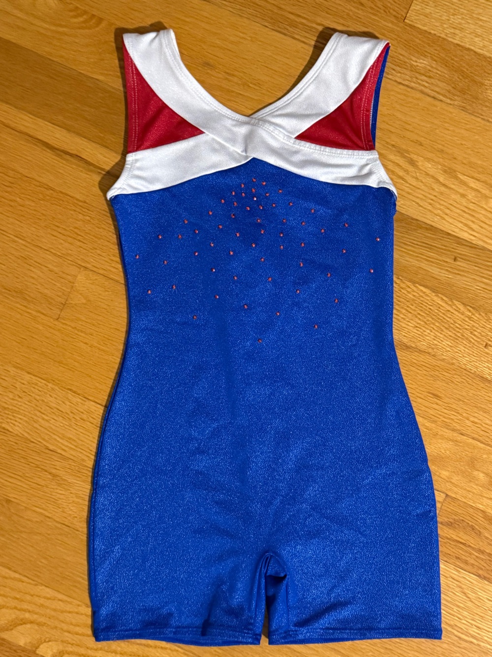 Danskin Blue and Red Sparkle Girls' Gymnastics Leotard Sz 7/8